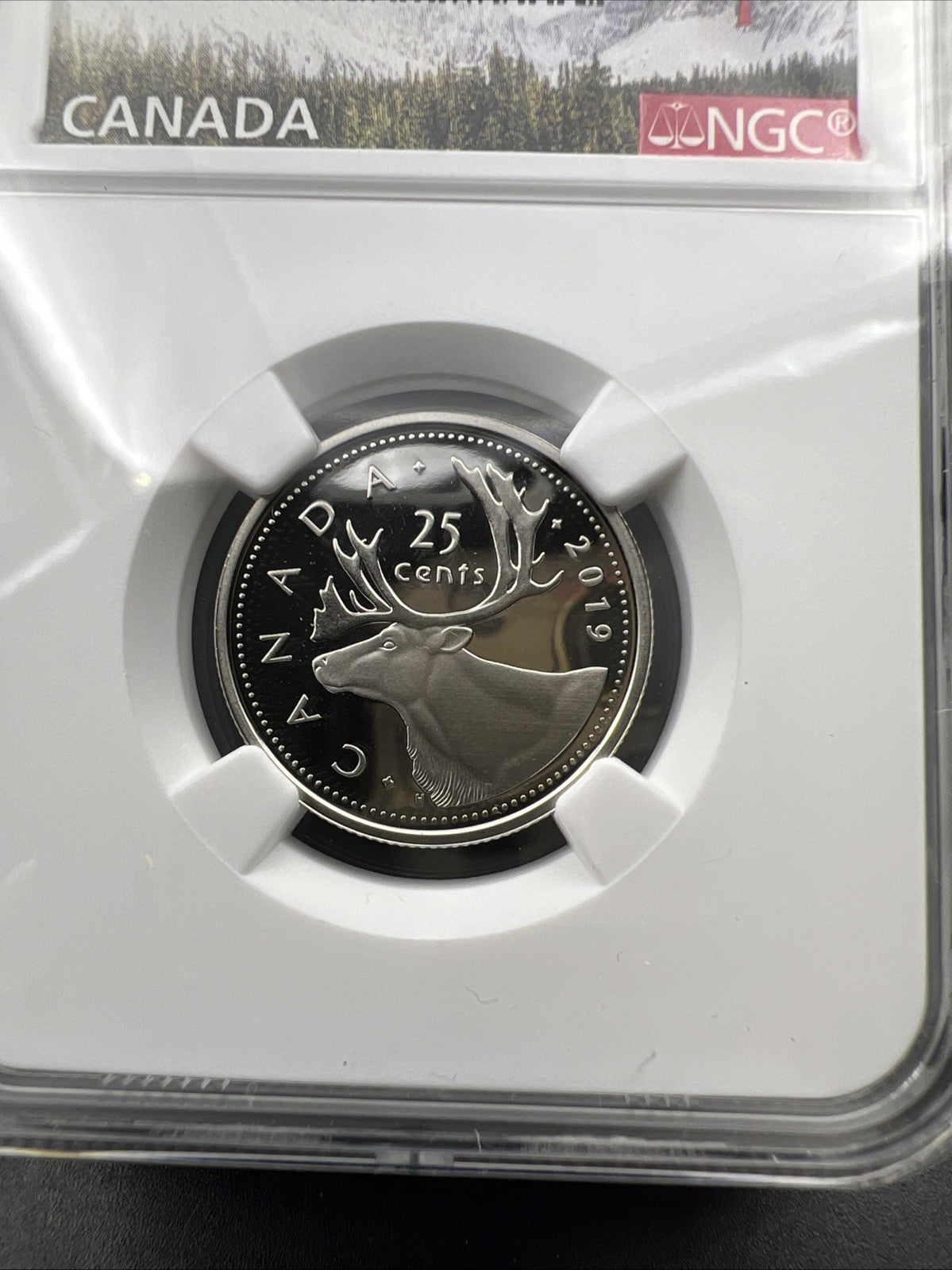 2019 Canada 25c Twenty Five Cent Caribou Quarter Coin NGC PF70 UCAM D-Day Holder