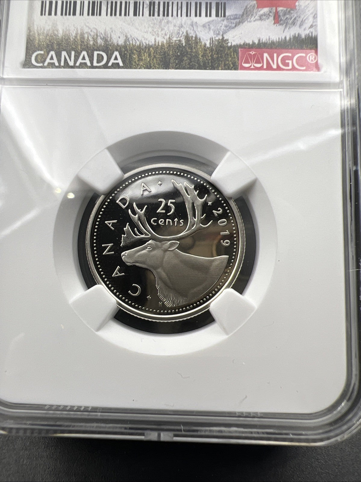 2019 Canada 25c Twenty Five Cent Caribou Quarter Coin NGC PF70 UCAM D-Day Holder