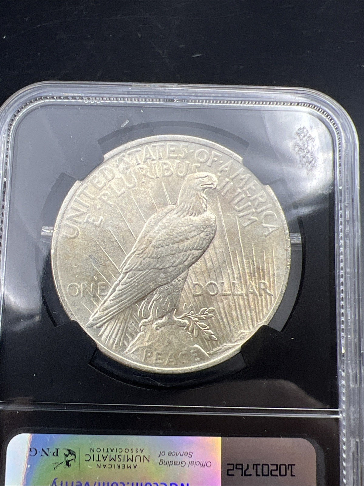 1924 Peace Silver Dollar Coin NGC BU Original Bag Fragment Series