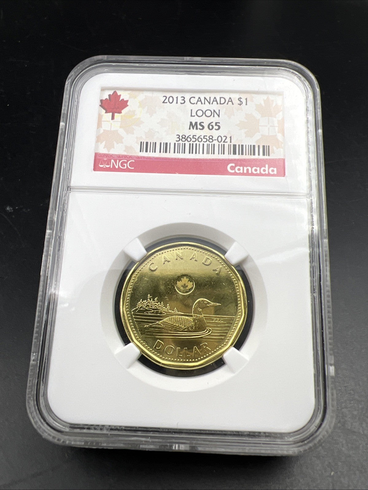 2013 Canada $1 Loon Loonie MS65 Gem BU UNC Dollar Coin