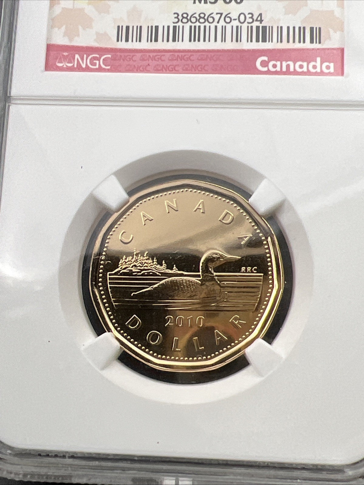 2010 Canada $1 Loon Loonie MS66 Gem BU UNC Dollar Coin