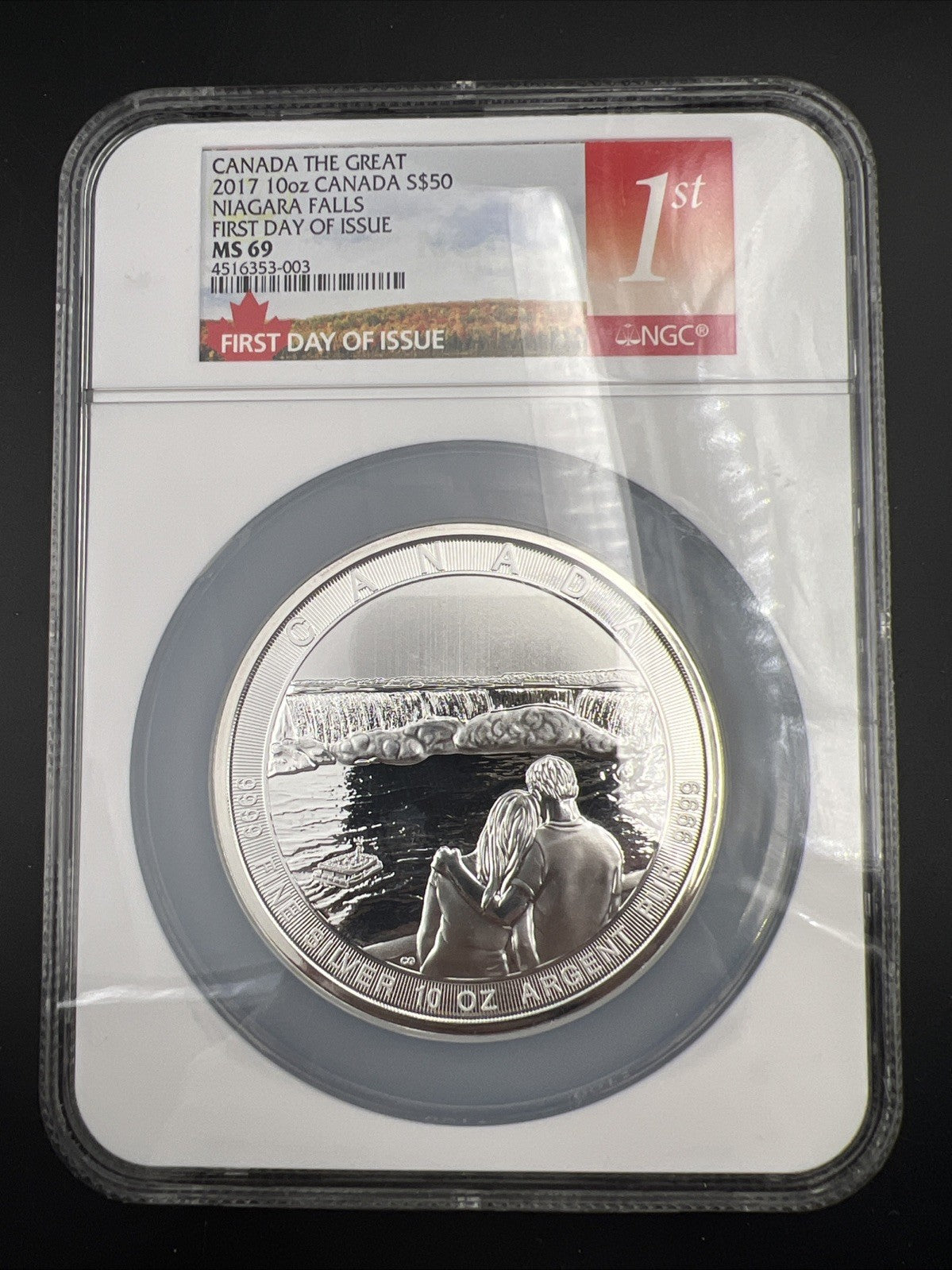 2017 Canada S$50 10 Oz Silver Niagara Falls Commemorative NGC MS69 FDOI