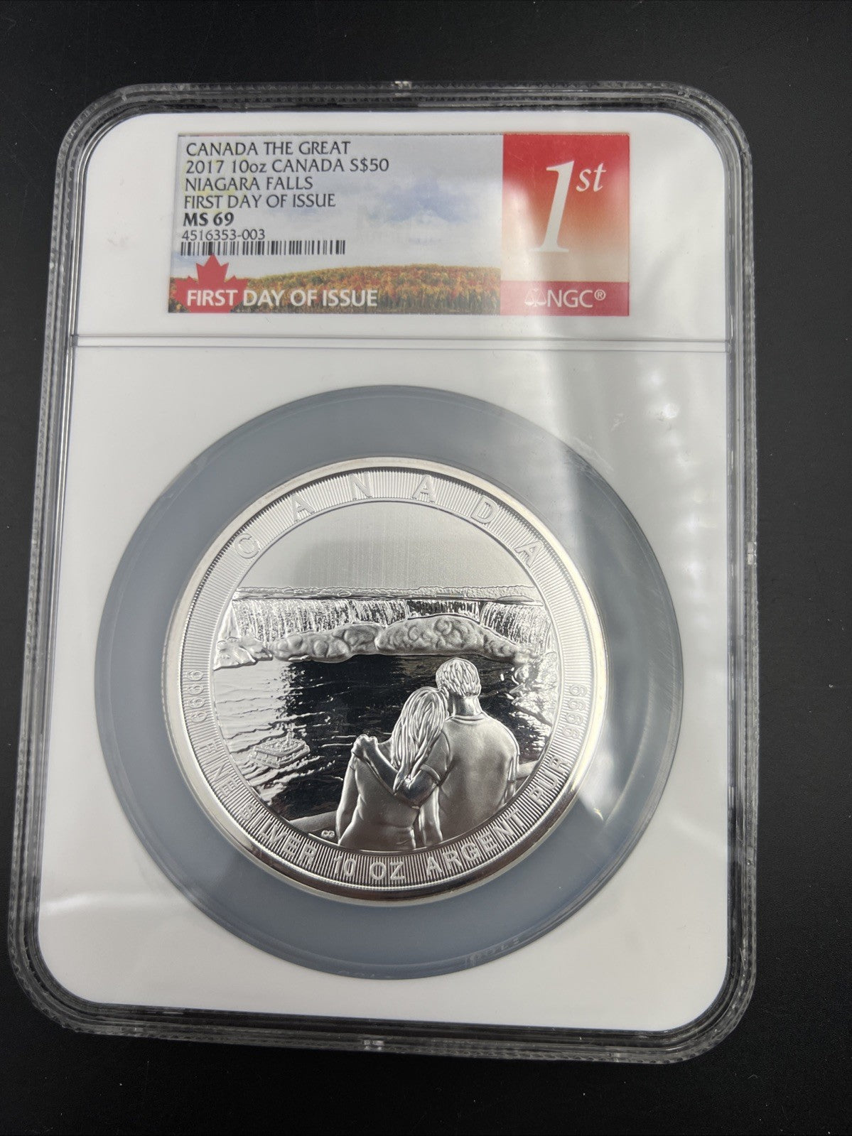 2017 Canada S$50 10 Oz Silver Niagara Falls Commemorative NGC MS69 FDOI