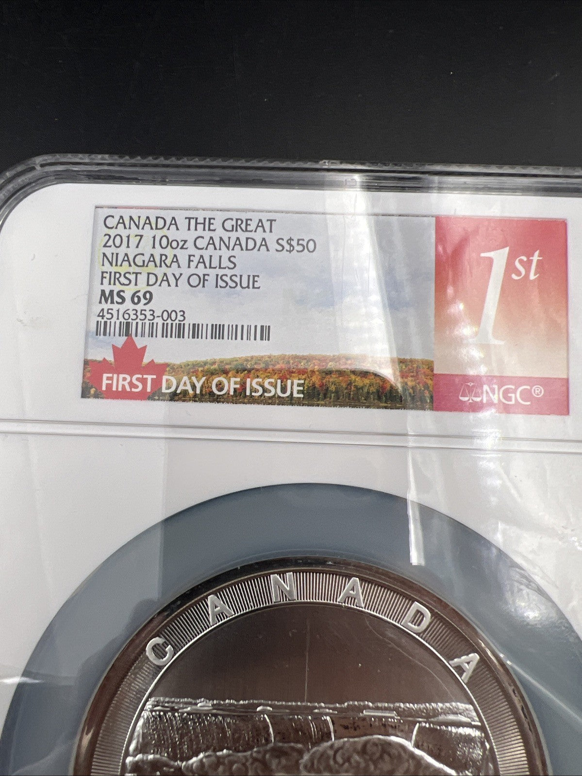 2017 Canada S$50 10 Oz Silver Niagara Falls Commemorative NGC MS69 FDOI