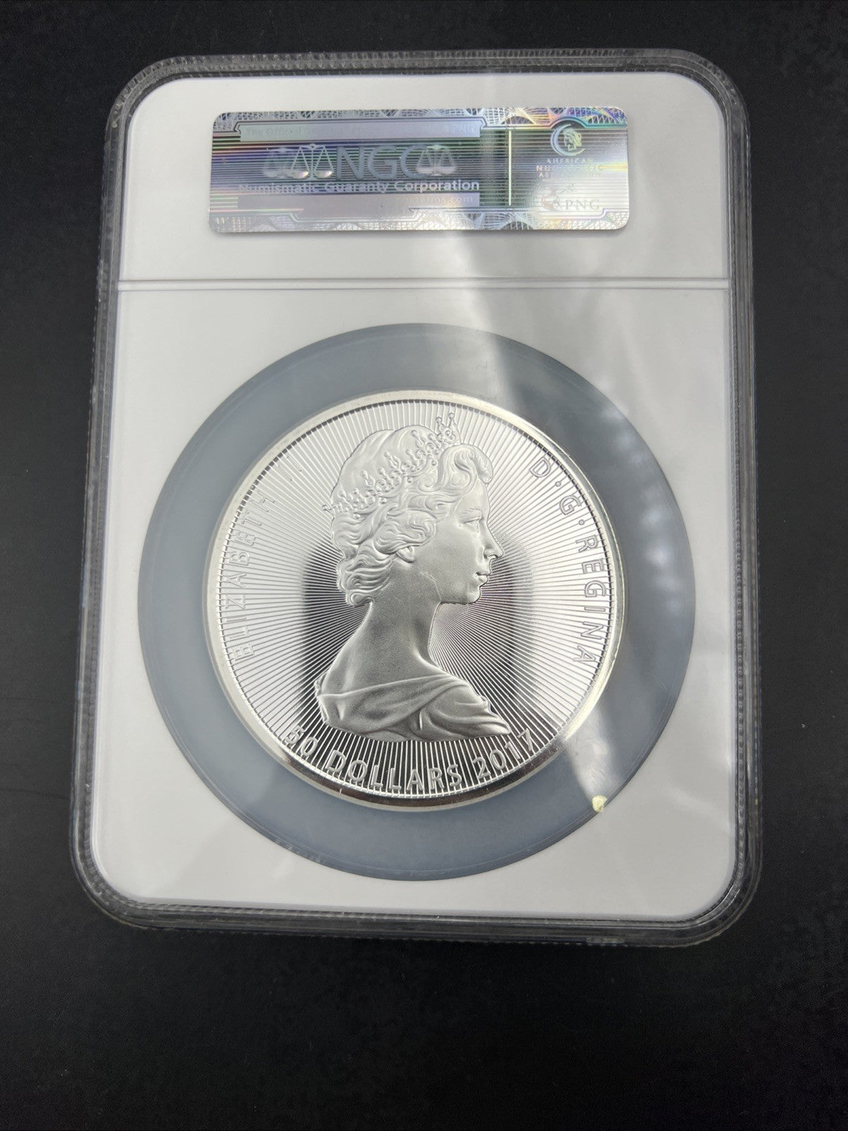 2017 Canada S$50 10 Oz Silver Niagara Falls Commemorative NGC MS69 FDOI