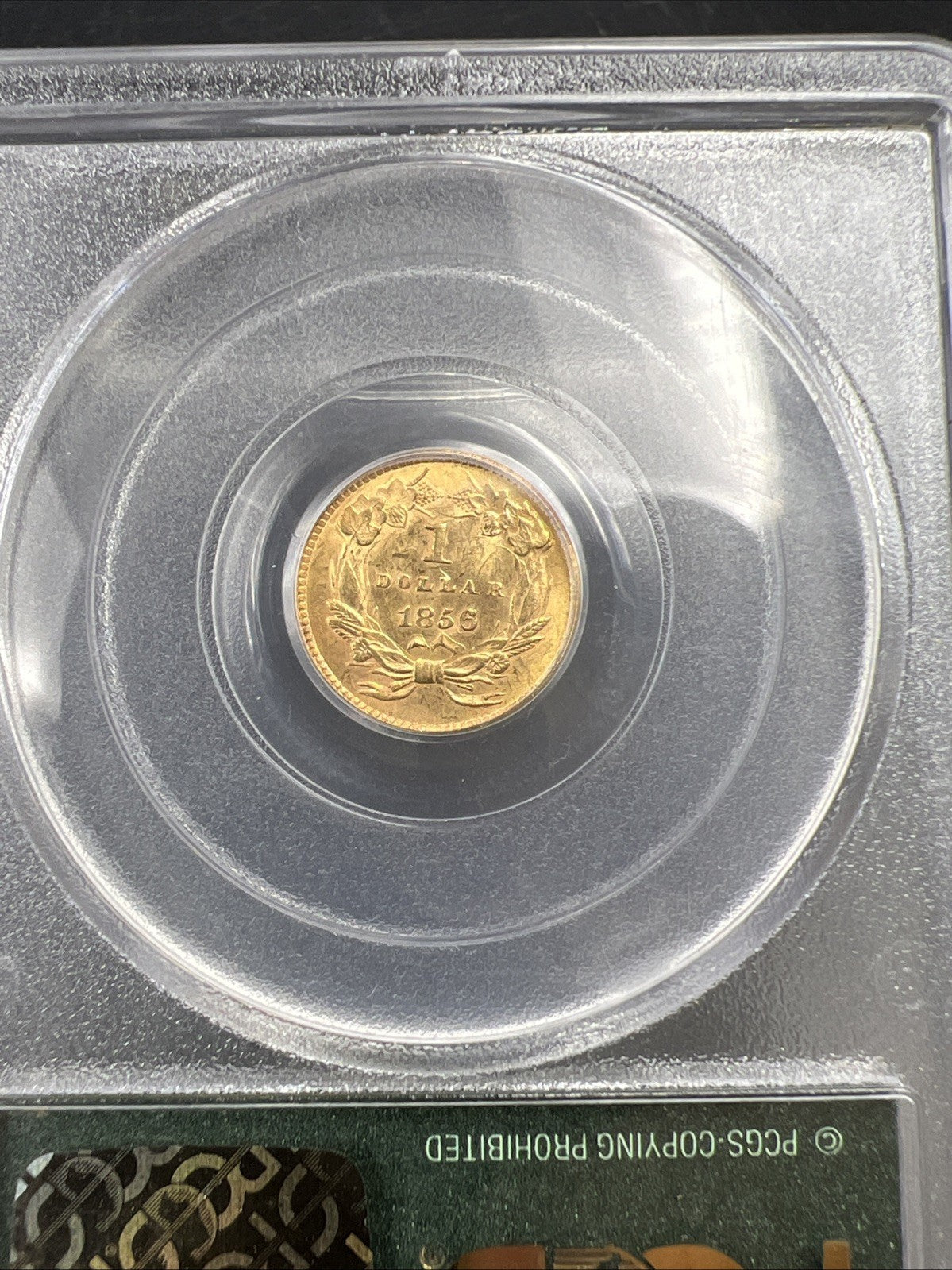 1856 $1 One Dollar Princess Indian Head Gold Dollar Coin PCGS OGH MS60 Slant 5