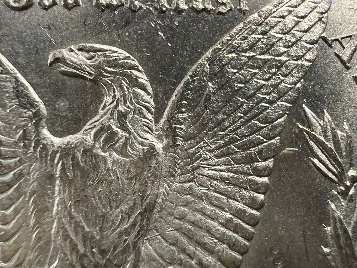 1878 CC Morgan VAM 11 BU Carson City Dollar Coin Lines in Wing Top 100 Vam Variety #B