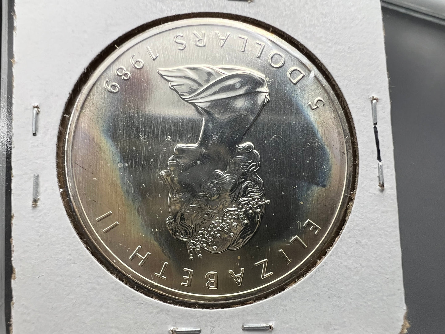 1989 1 oz .9999 Ultra Fine Canada Silver Maple Leaf Coin GEM UNC PQ Toning Toner sk#a