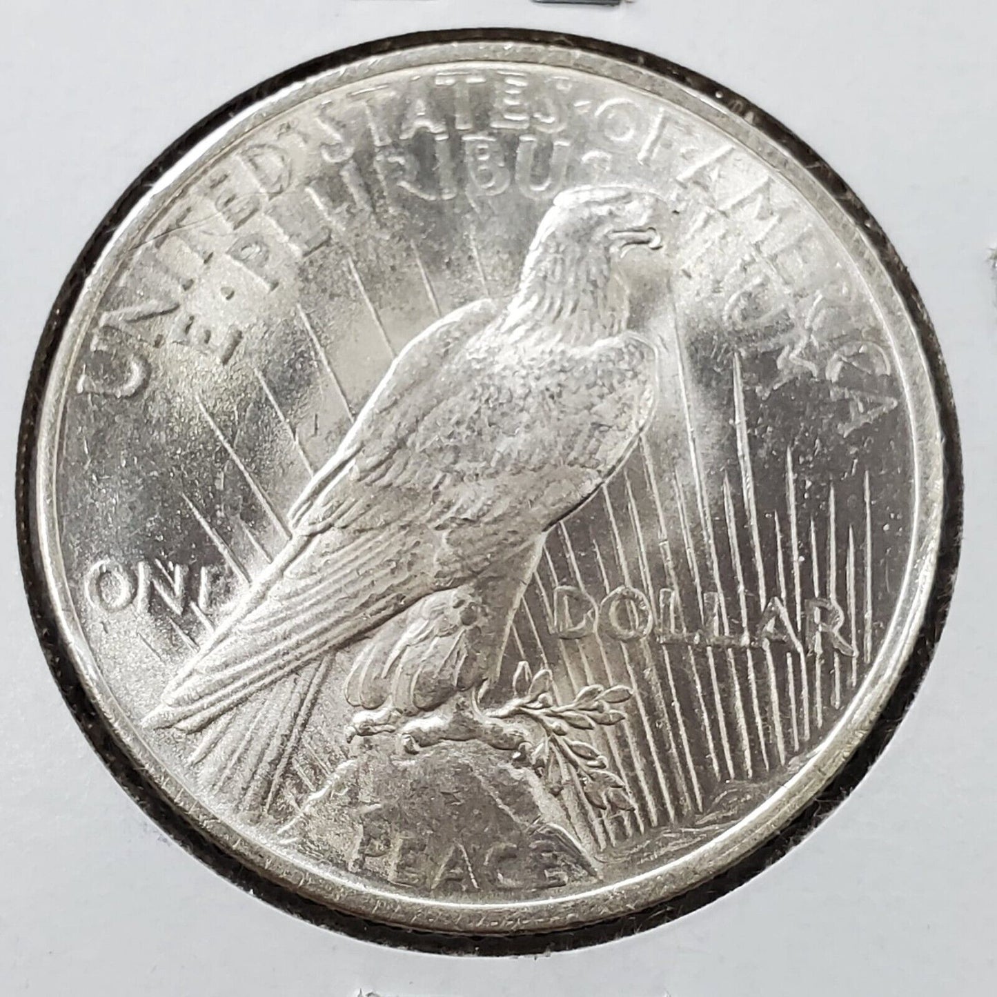 1923 P Peace 90% Silver Eagle Dollar Coin Struck Thru Error Coin Obverse