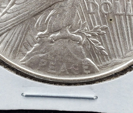1923 D Peace $1 Dollar Coin Die Crack REV top of E of Peace VAM-1AU R-6 VAM AU