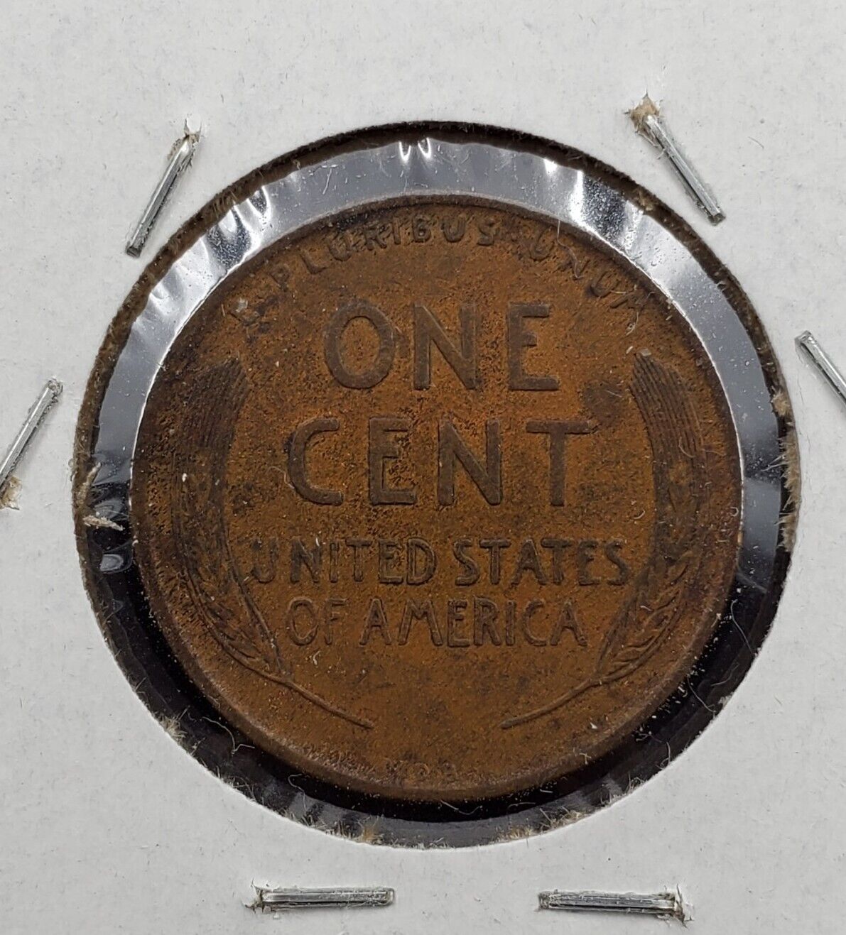 1909 P VDB Lincoln Wheat Cent Penny Coin