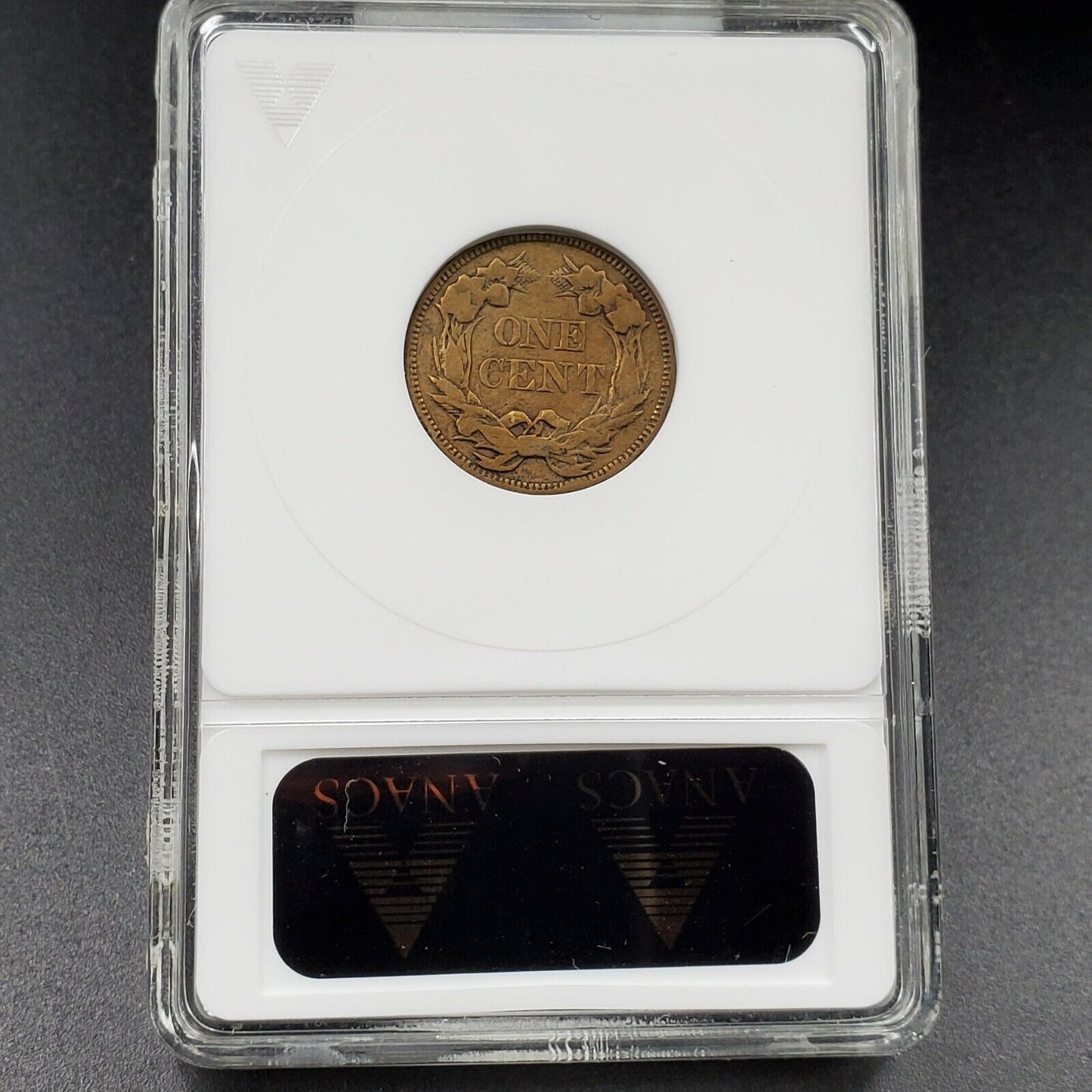 1857 Flying Eagle Cent Penny Error ANACS Clashed Dies FS-003 FS-402 VF Details