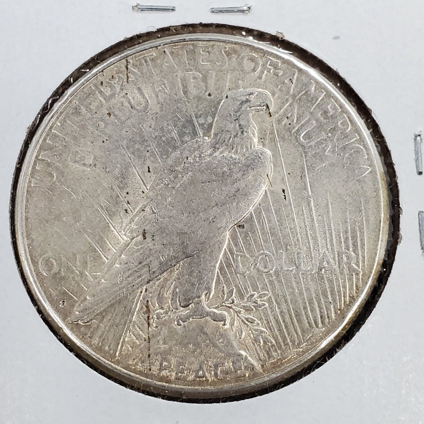 1922 P Peace Silver Eagle Dollar XF EF Extra Fine Neat Toning