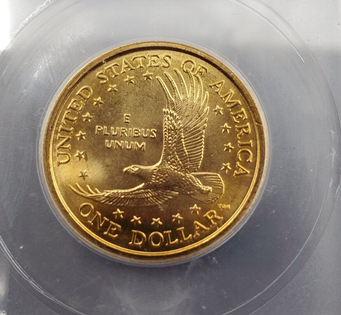 2003 P Sacagawea Native American Dollar COIN ICG MS67 Gem BU UNC Certified