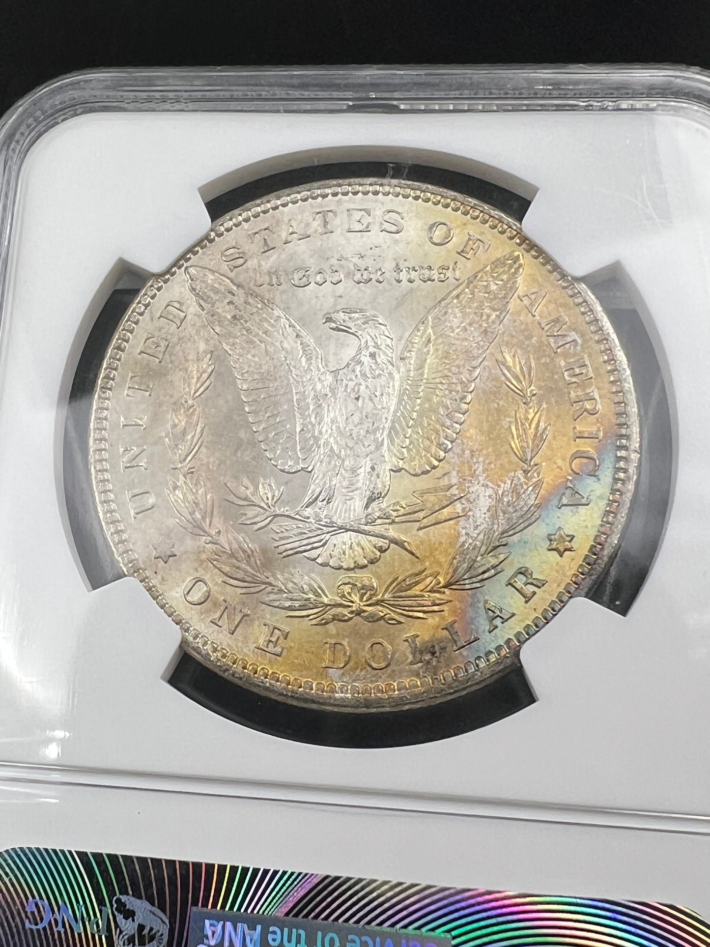 1896 P $1 Morgan Silver Dollar Coin PQ Toning Toner Reverse MS64 NGC