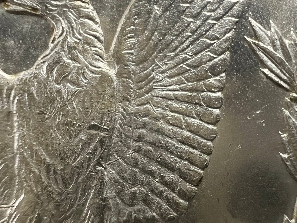 1878 CC Morgan VAM 11 Choice BU Carson City Dollar Coin Lines in Wing Top 100 Vam Variety