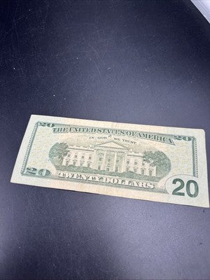 2009 $20 FRN Federal Reserve Note Circulated Neat Serial # 33399398