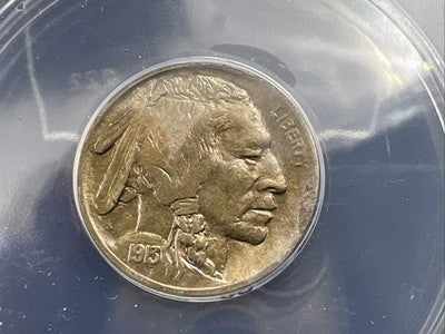 1913 P Type 2 5c Buffalo Five Cents Nickel Coin ANACS MS64 CH BU Certified