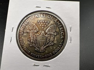 2010 1 Oz ASE American Silver Eagle Coin Neat Toning Toner