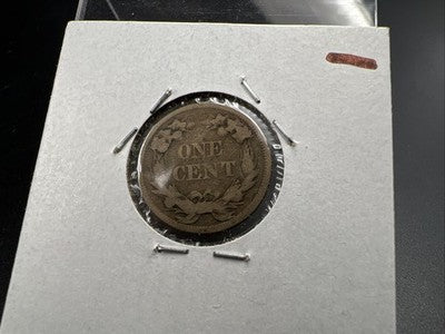 1858 1c Flying Eagle Cent Coin Low Leaves FS-901 Variety AG About Good Circ #B