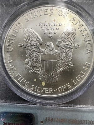 World Trade Center Recovery 2001 1 OZ ASE Ground Zero Silver Eagle PCGS Gem SK#C