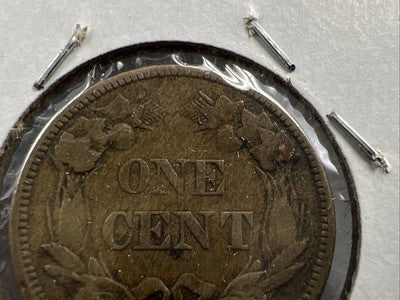 1858 1c Flying Eagle Cent Coin Low Leaves FS-901 Variety Fine Circ