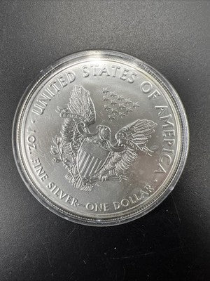 2019 1 Oz American Silver Eagle Coin Colorized Enhanced Gem UNC SK#a