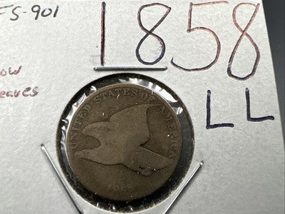 1858 1c Flying Eagle Cent Coin Low Leaves FS-901 Variety AG About Good Circ #B
