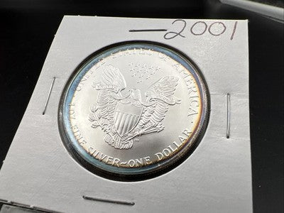2001 1 Oz ASE American Silver Eagle Coin Gem BU UNC Halo Toning Toner SKU#B