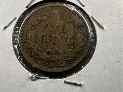 1858 1c Flying Eagle Cent Coin Low Leaves FS-901 Variety Fine Circ