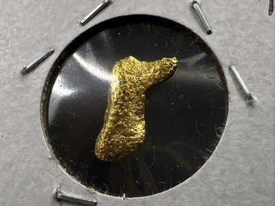 1 Gram Australia Gold Cowboy Boot Nugget