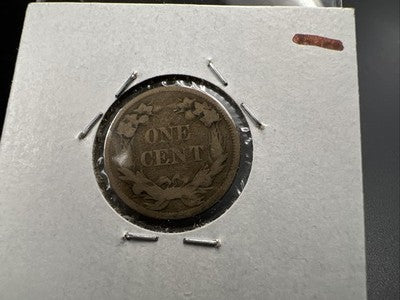 1858 1c Flying Eagle Cent Coin Low Leaves FS-901 Variety AG About Good Circ #B