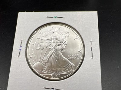 2001 1 Oz ASE American Silver Eagle Coin Gem BU UNC Halo Toning Toner SKU#B