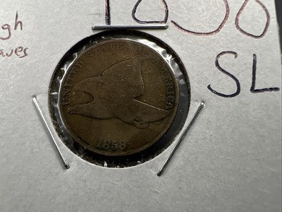 1858 1c SL Flying Eagle Cent Coin Low Leaves FS-901 Variety VG Details Circ