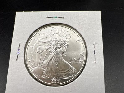 2001 1 Oz ASE American Silver Eagle Coin Gem BU UNC Halo Toning Toner SKU#B