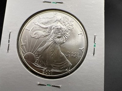 2001 1 Oz ASE American Silver Eagle Coin Gem BU UNC Perfect Halo Toner Toning