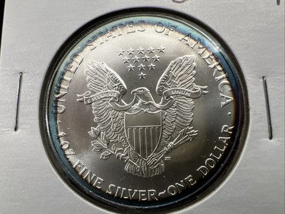 2001 1 Oz ASE American Silver Eagle Coin Gem BU UNC Perfect Halo Toner Toning