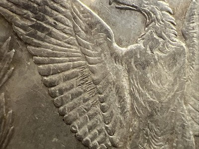 1878 S $1 Morgan Silver Dollar Coin VAM 18 XF EF Extra Fine Circ Spaghetti Wing