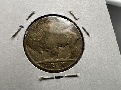 1913 P Type 1 5c Buffalo Five Cents Nickel Coin XF Extra Fine Toned