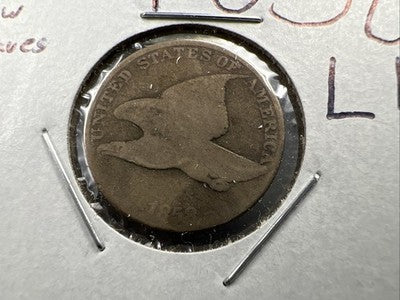1858 1c Flying Eagle Cent Coin Low Leaves FS-901 Variety AG About Good Circ #B