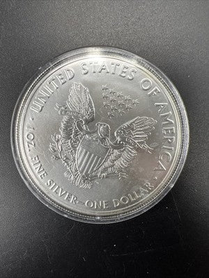 2019 1 Oz American Silver Eagle Coin Colorized Enhanced Gem UNC SK#a