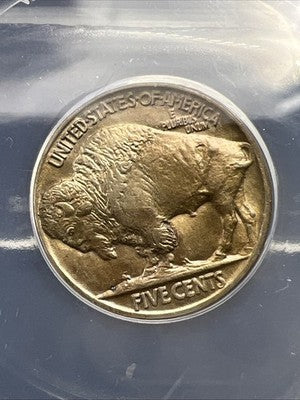 1913 P Type 2 5c Buffalo Five Cents Nickel Coin ANACS MS64 CH BU Certified