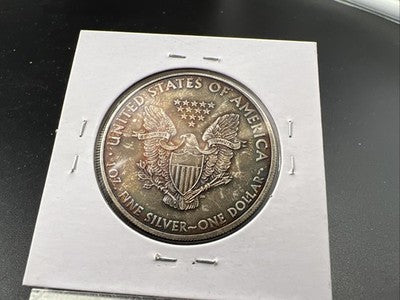 2010 1 Oz ASE American Silver Eagle Coin Neat Toning Toner