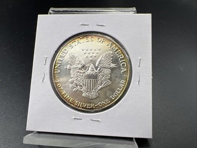 1988 1 Oz ASE American Silver Eagle Coin Gem BU UNC Halo Toning Toner SK#a