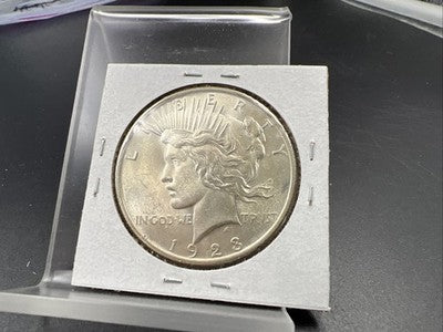 1923 P $1 Peace Silver Dollar Coin Laminated Planchet Error Reverse BU UNC