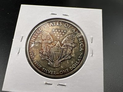 2010 1 Oz ASE American Silver Eagle Coin Neat Toning Toner