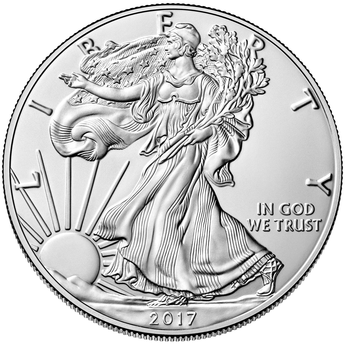2017 $1 Silver Eagle 1 oz ASE American BU UNC Business Strike Single Coin
