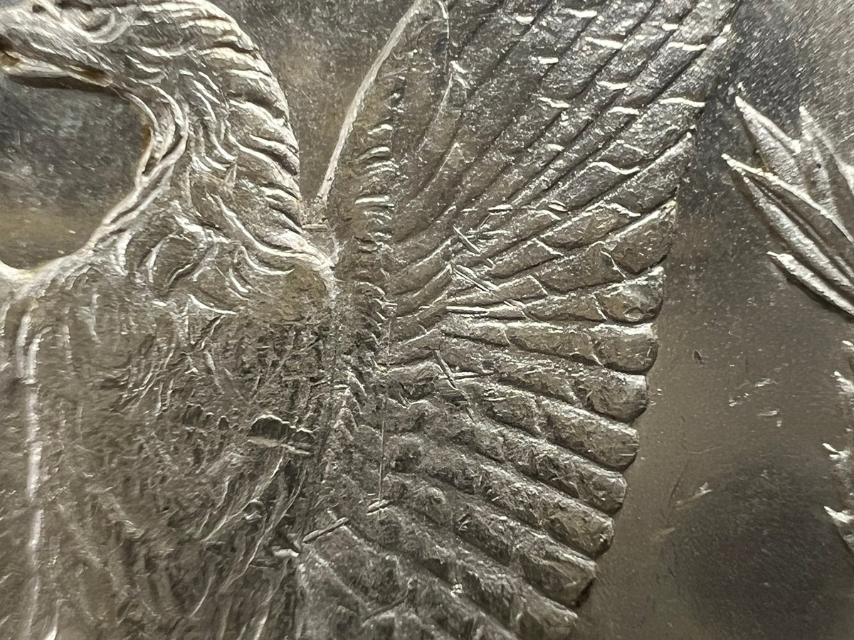 1878 CC Morgan VAM 11 Choice BU Carson City Dollar Coin Lines in Wing Top 100 Vam Variety