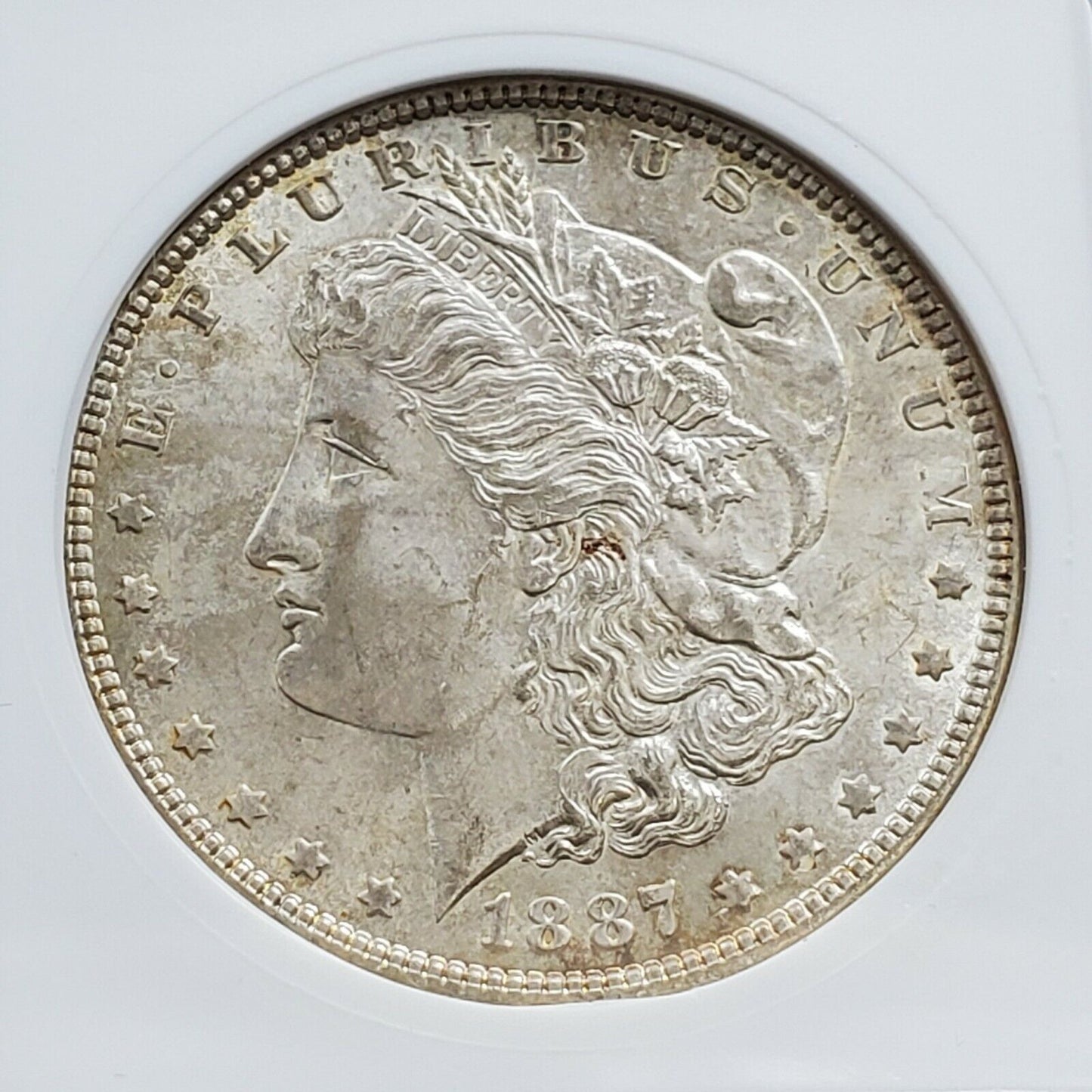 1887 P Morgan Silver Dollar Variety Coin ANACS MS64 VAM-19 MPD-001 R5 Vam