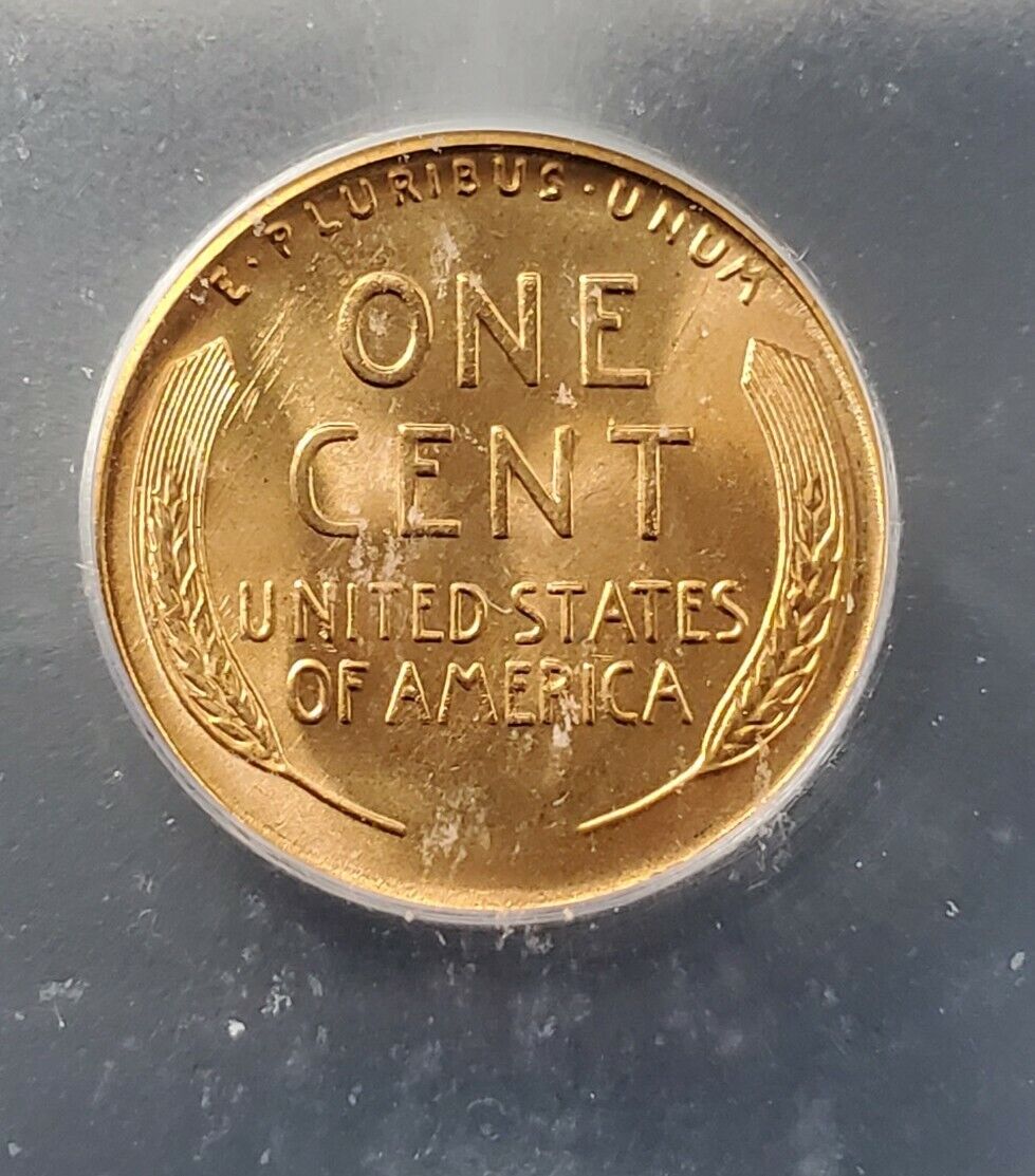 1955 S Lincoln Wheat Cent Variety Coin ICG MS67 RED RD MAJOR DIE CHIPS @ LIBERTY
